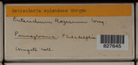 Image Associated With the Occurence